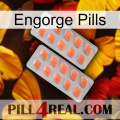 Engorge Pills 27